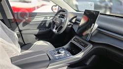 بي واي دي ديستروير 05